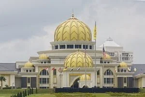 What is the Queen of Malaysia cooking for the hospital workers?