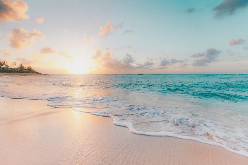 It is too hard to tell where you could travel next. Finding a place to quiet your mind is a good start. While the air travel ban is slowly lifted, the news that Warren Buffett had sold his entire investment in airline stocks, are a reality check that makes it hard to say where to next. For now, take a leap of faith, all is well.