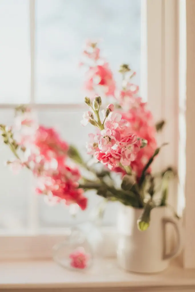 Making sure that your daily rituals make you feel rich and luxurious - in my words I would say „glowing“ - I have put together my top five self-care tips for you to be productive and feel confident and radiant, so you will never again feel like an unmotivated couch potato! 
