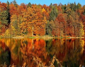 What is Autumn Equinox impact on your life and business?