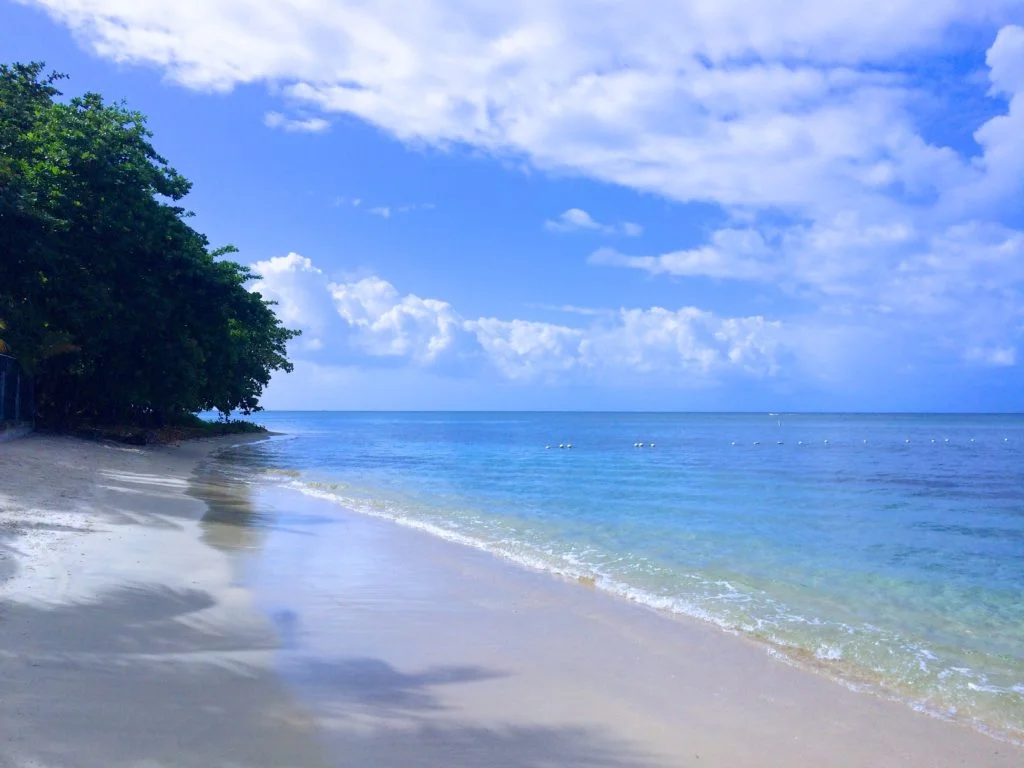 where is your paradise?