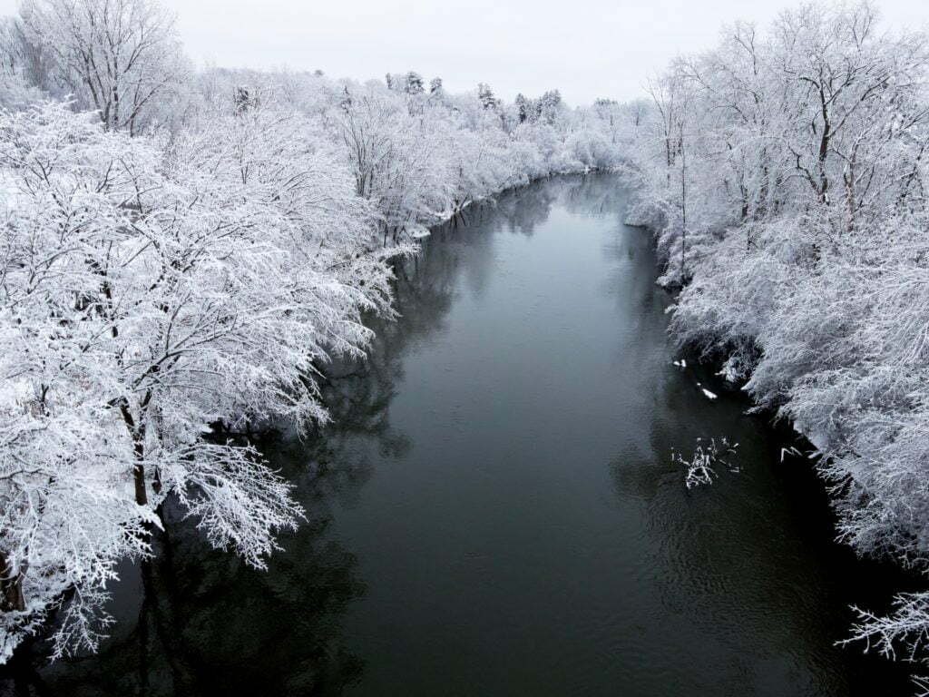 white trees covered by snow near river during daytime