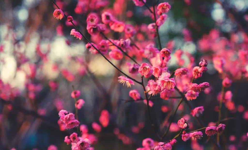 Living in the present moment is known as mindfulness, and is a state of active awareness and intentional attention on the present moment. Following these 5 ways described above will build your ability to be entirely aware of the present moment without judgment. Becoming mindful allows you to shake off all intruding thoughts, gain focus, and observe your thoughts from the outside in. Based on this self-awareness tips, you could take the time to stop and consider what’s going on now.