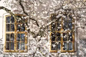 What are the steps to blossom your sensitive soul in the modern world?