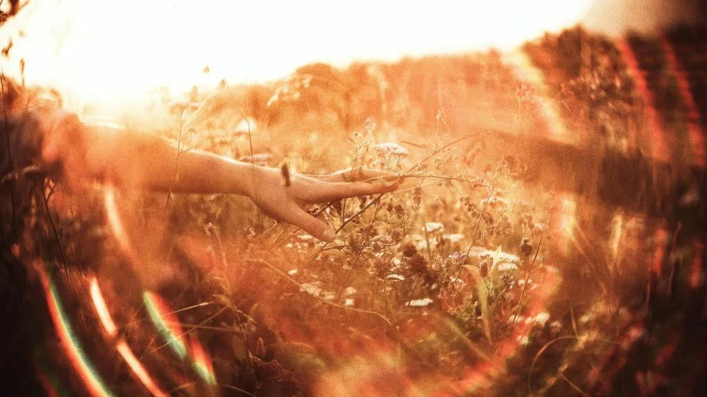 The path to a brighter future is often through the use of healing energy. This can be in the form of alternative therapies that aim to promote health and well-being. When used correctly, healing energy can help to remove blockages and allow the flow of positive energy to return. This can bring about physical, emotional, and spiritual healing.