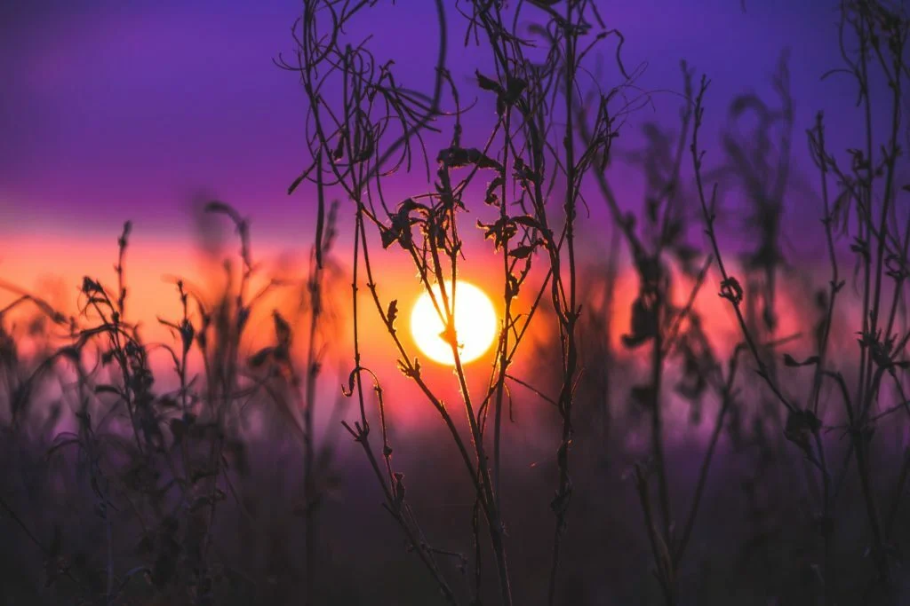 When you are feeling blocked, it is often because you are carrying around old, unhelpful energy. This can manifest as feelings of stuck-ness, resentment, and even anger. If you are feeling blocked, it may be time to cleanse your energy field and release the old baggage you are carrying around.