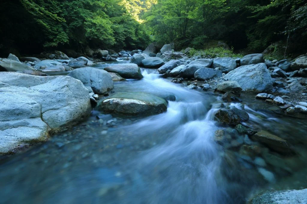 what triggers you inot the flow of action?