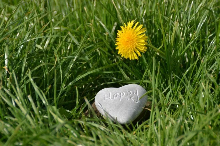 can you change your frequency to be intentionally happy?