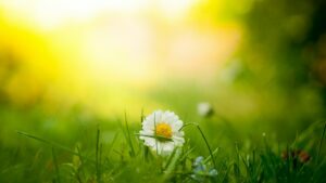What are the best kept secrets for anti-aging?