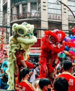 Wellness and prosperity: what to expect from The Year of Rabbit?