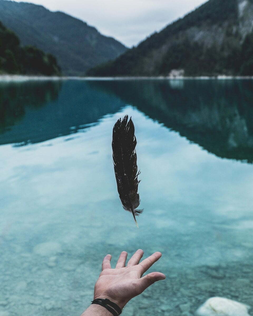 What Does a Black Feather Mean for You?