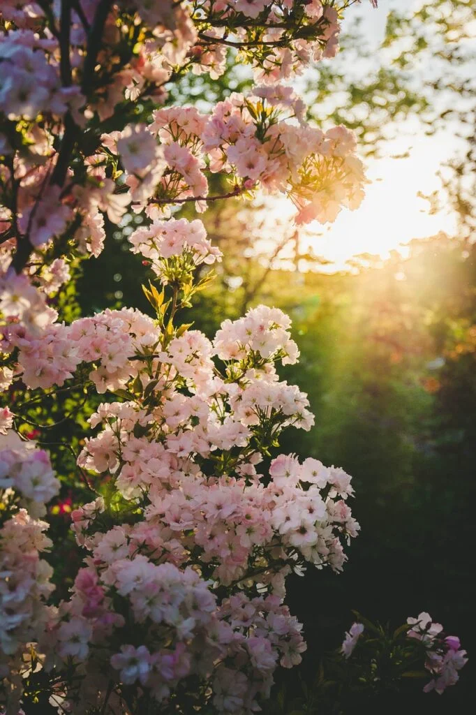 what drives you to start a new day despite all challenges?