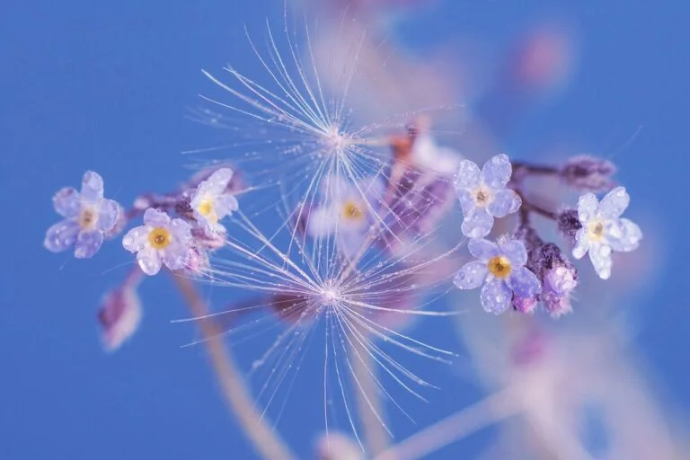 How long do you need to retrain your brain and break free from energetic stagnation?