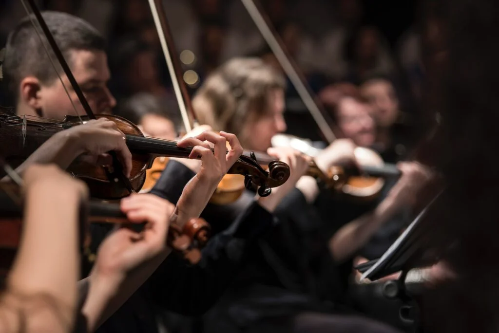 people playing violin in a concert filled with emotional resonance