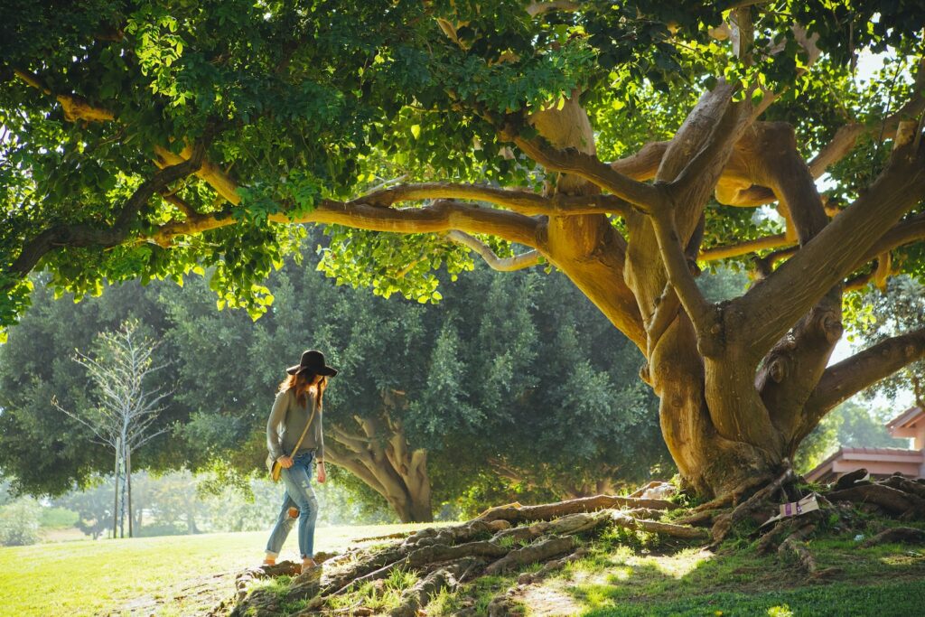 woman walking under tree during daytime