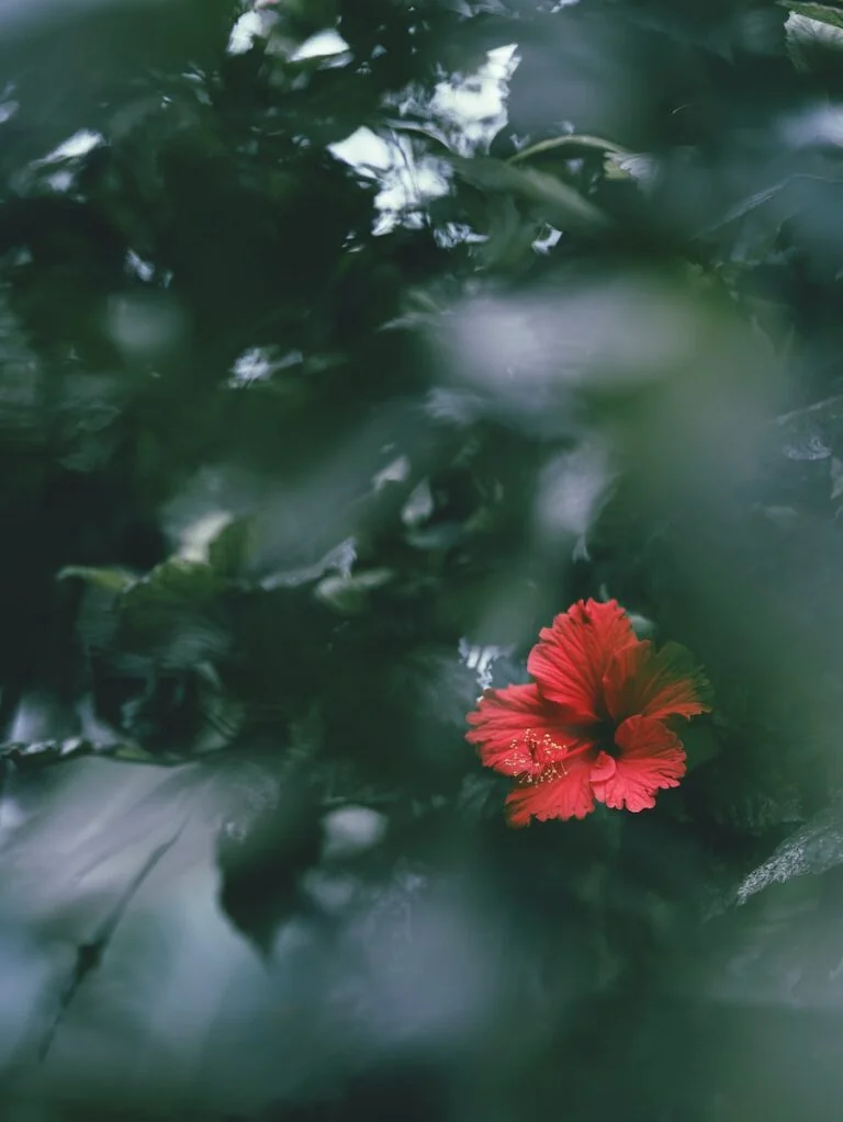 why not take a spa day for the soul to nurture your mental health?