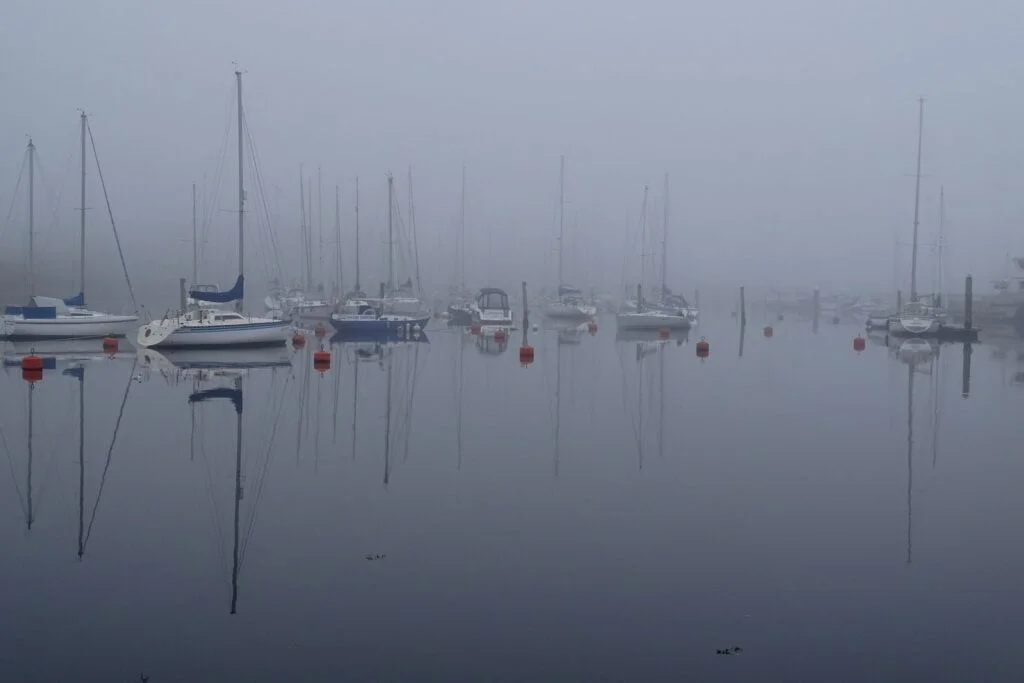 self-love is a compass showing north on a foggy day