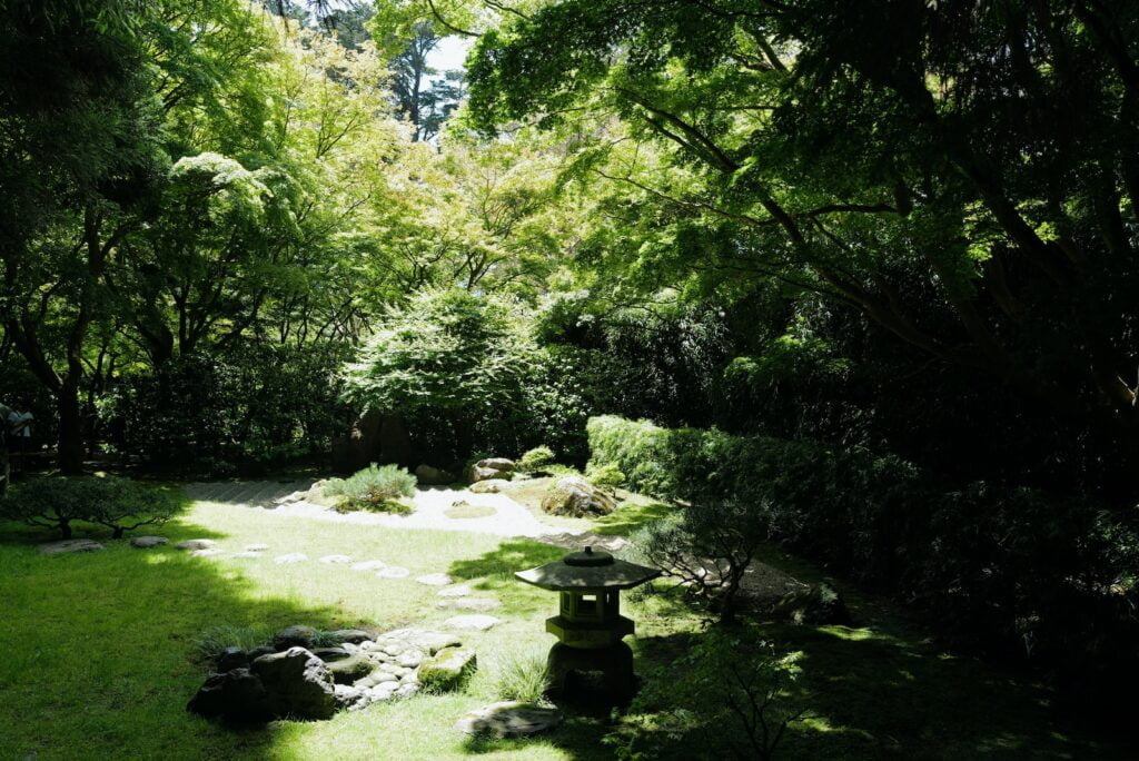 a garden with a small pond surrounded by trees