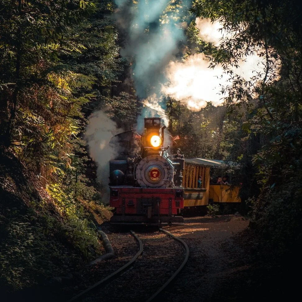 gray and red train running on rail in between trees at daytime