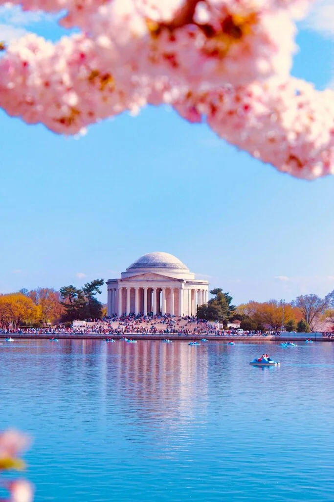 5 things to know about Washington's cherry blossoms