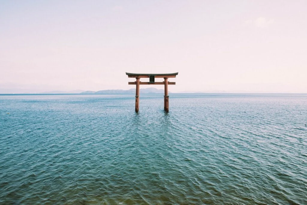 a tori tori floating in the middle of a body of water