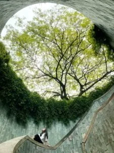 What is the future of Zen?