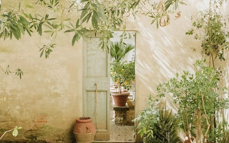 a bunch of potted plants in front of a building