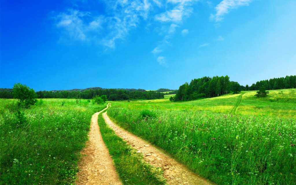 road in between of grass field near trees at daytime