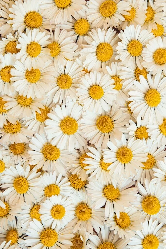 finding joy in everyday life to break free from anxiety