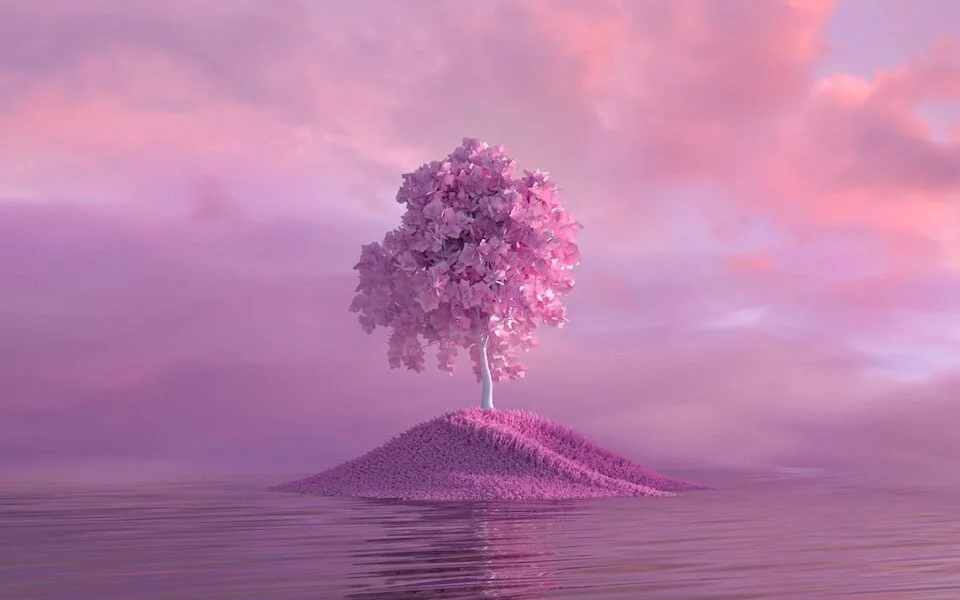green tree on the beach under white clouds