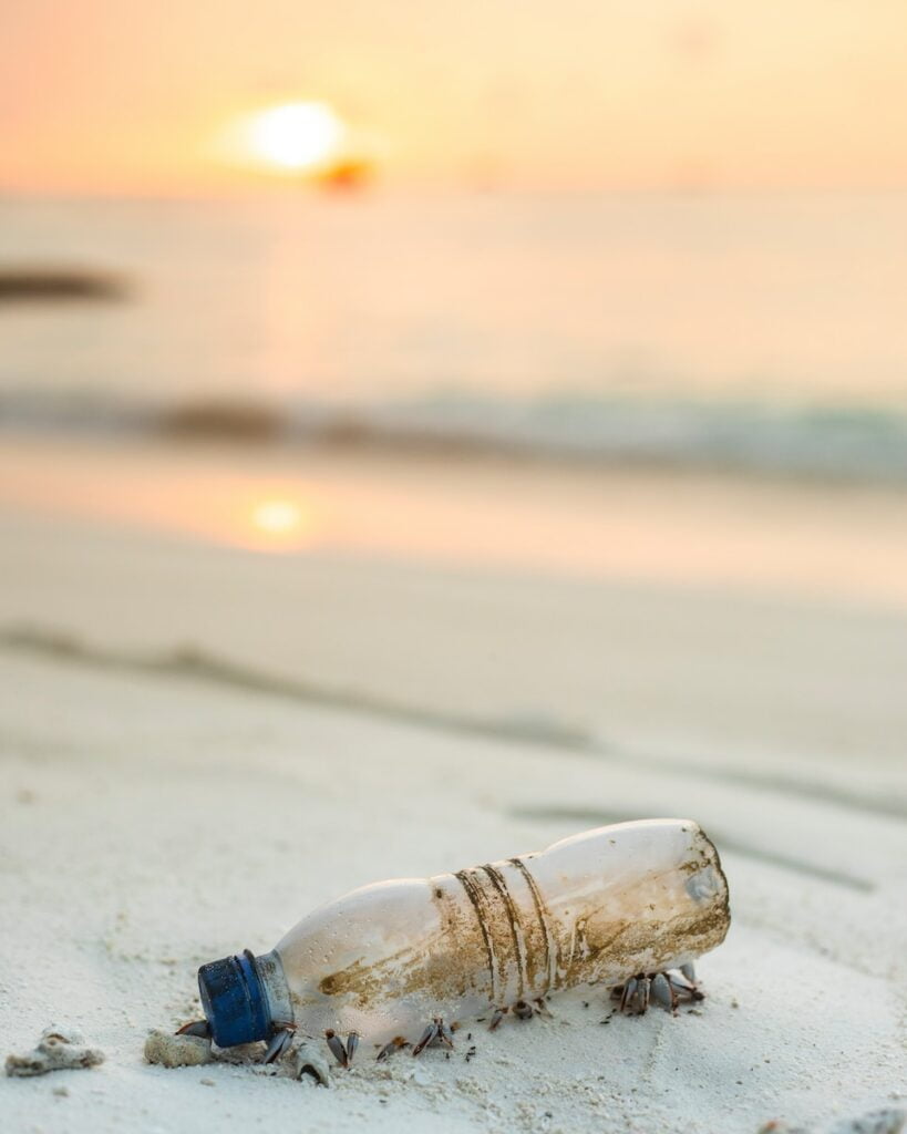 What are the easy actions you can take today to beat the plastic pollution on World Environment Day 2023?