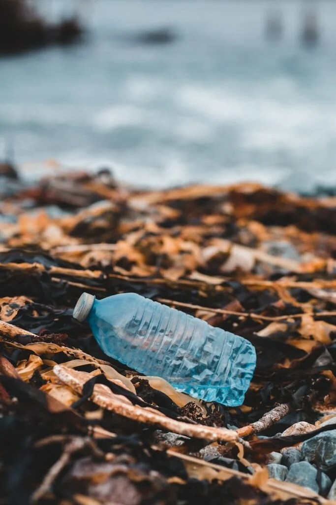 What are the easy actions you can take today to beat the plastic pollution on World Environment Day 2023?
