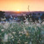 Do you embrace a minimalist lifestyle to reduce, reuse and recycle ?