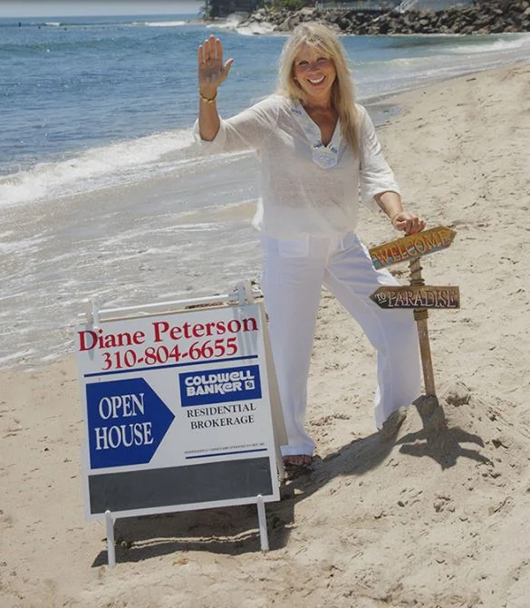 The Courage to Live the Dream: Hollywood Stuntwoman Diane Peterson ...