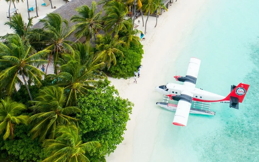 plane parked beside the trees on seashore