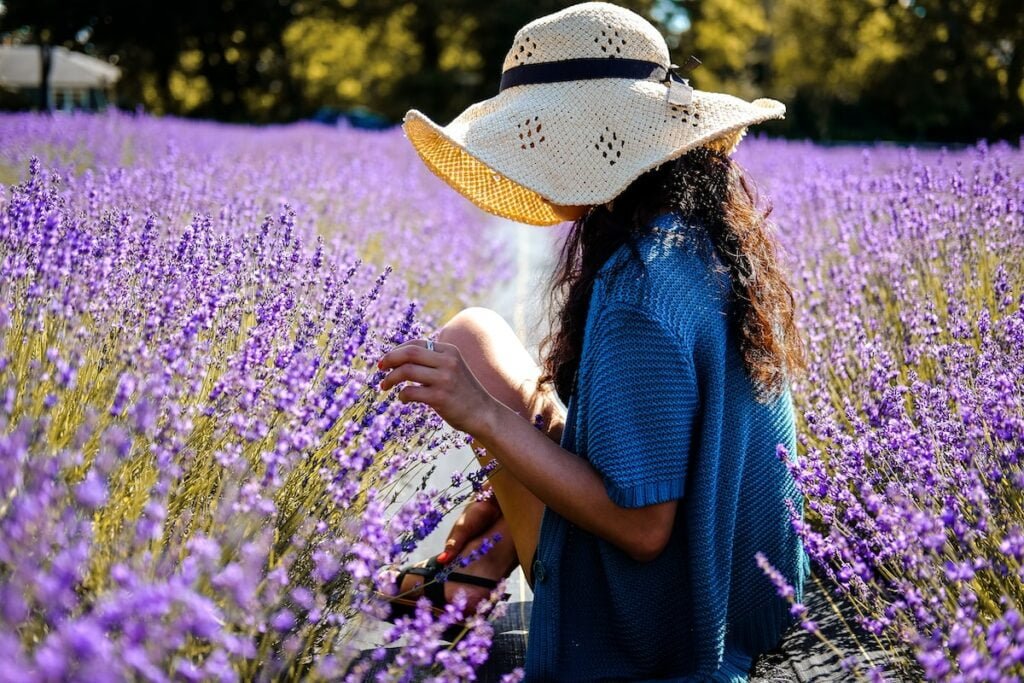 woman in between on purple lavender field taken at daytime