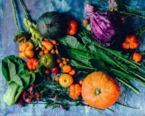 What 3 Daily Rich Snacks can help you Close The Fiber Gap in Children's Diet?