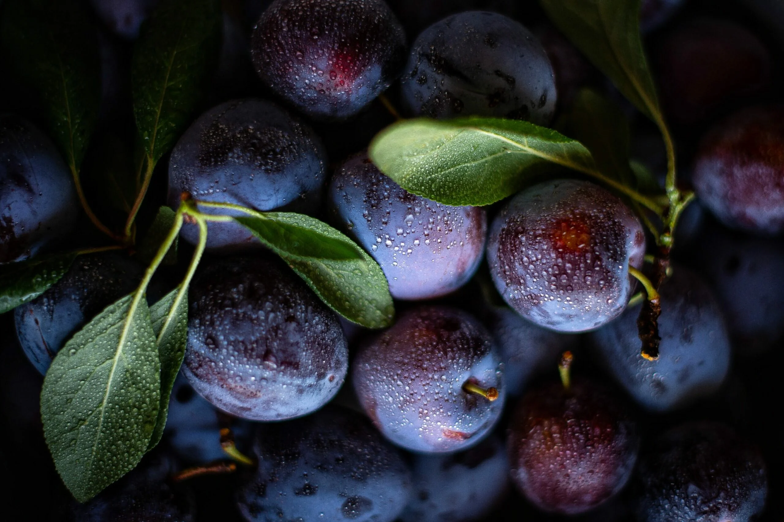 Plums, often selected for their delicious taste and vibrant colours, are more than just a tasty fruit. These sweet and juicy gems are packed with essential nutrients that offer a multitude of health benefits, including benefits for your skin. A boast of vitamin C, plums can effectively enhance your skin's radiance, diminish the appearance of dark spots and freckles, contribute to achieving a glow skin, and enhance blood circulation in the skin, aiding in the lightening of scars and age spots. In this article, we invite you to have a closer look at different ways in which plums can contribute to healthier, glowing skin.