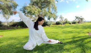Tai Chi's Healing Power— The Ancient Secret to a Healthier, Happier Life