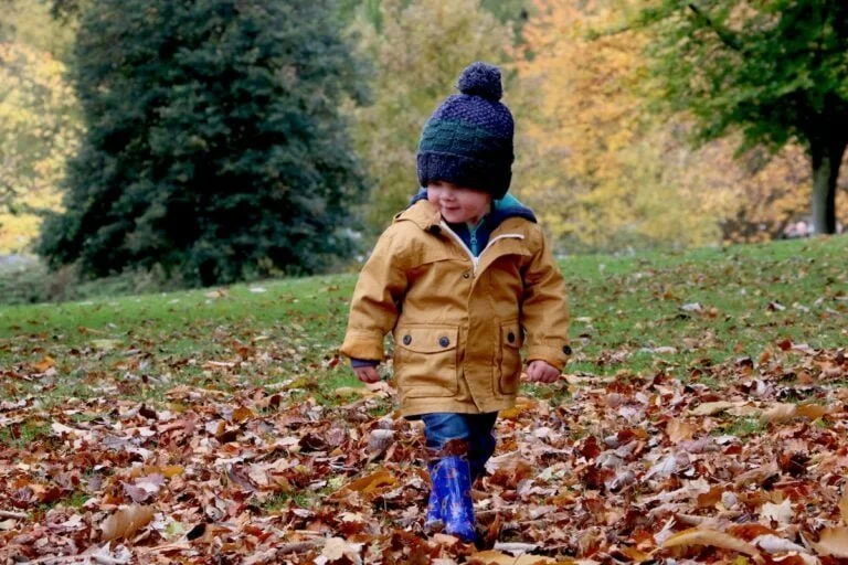 What is the Role of Social Engagement in Early Childhood ?Education
