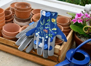 Planting joy- the healing power of gardening
