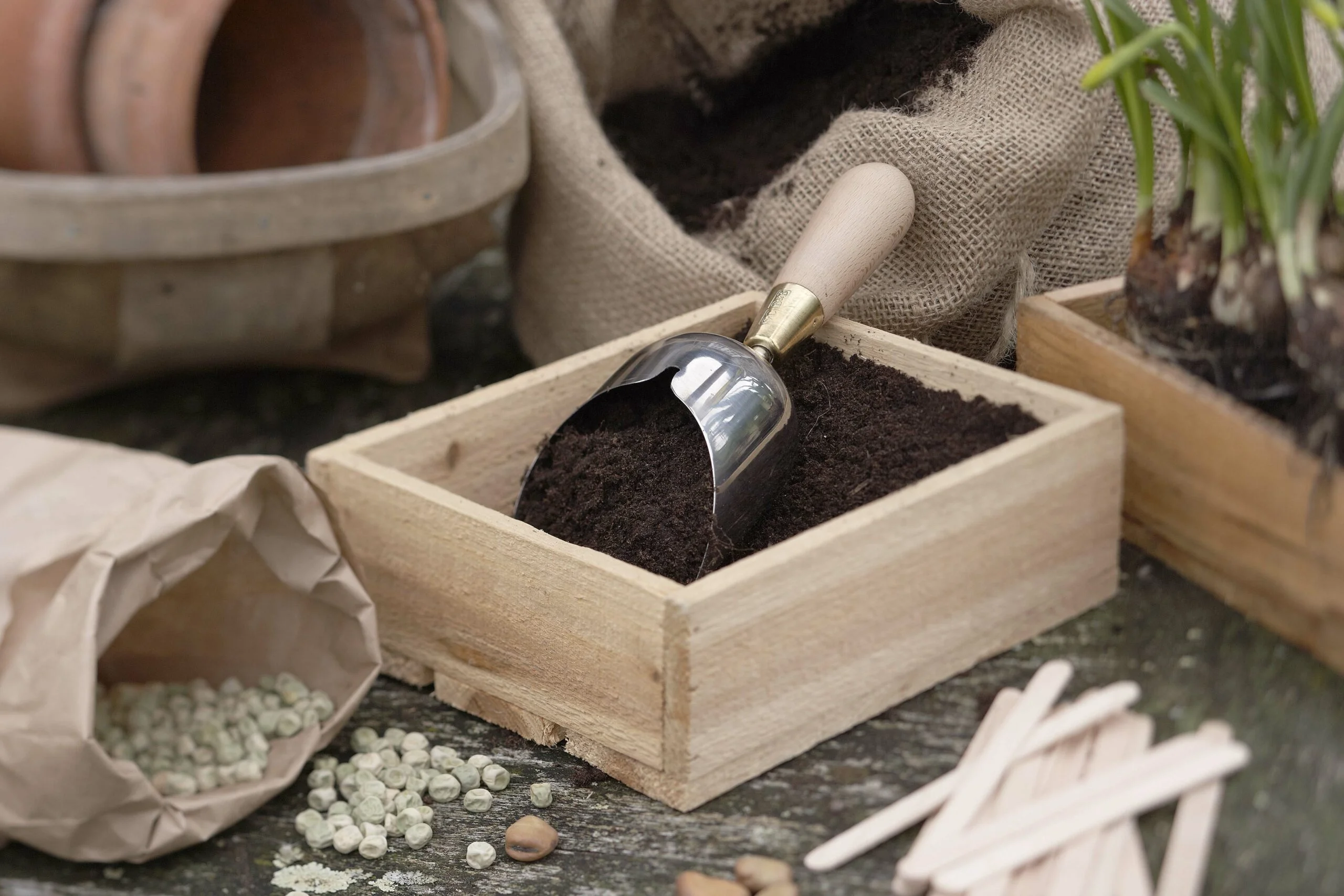 When is the last time you took the time to reflect on the circle of life while gardening? Beyond being a hobby, gardening is a powerful tool for preventing mental- ill health, physical health and keeping fit and happy. In this article, we'll explore the ways in which gardens can boost your well-being, provide practical tips to get started with gardening.
