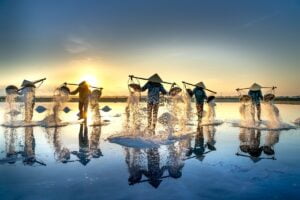 The salt of life- what are the health benefits of natural sea salt?