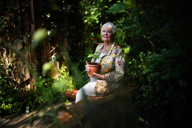 Seeding hope: Dame Judi Dench planted the first Sycamore Gap Tree at Chelsea Flower Show 2024