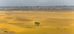Is resilience the key to carving your own path to success?