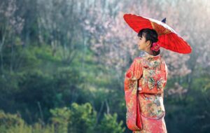 Ikigai- a gate into the Japanese path to longevity and joy
