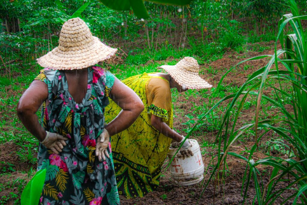 Who Drives the Change: Women Are Set for Wealth Dominance in the Decade Ahead