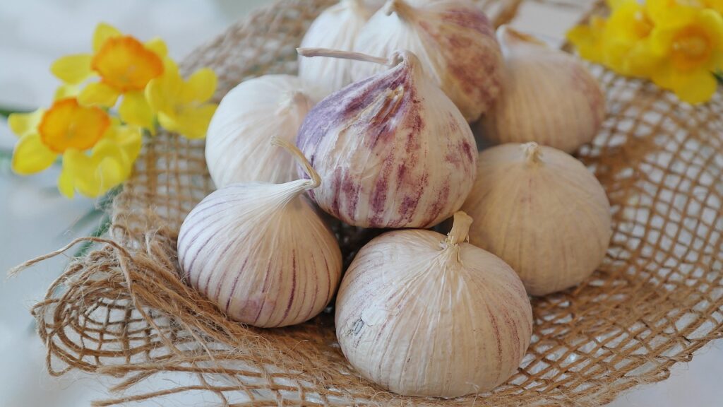 10 Surprising Facts About the World's Oldest Medicinal Plant: Garlic