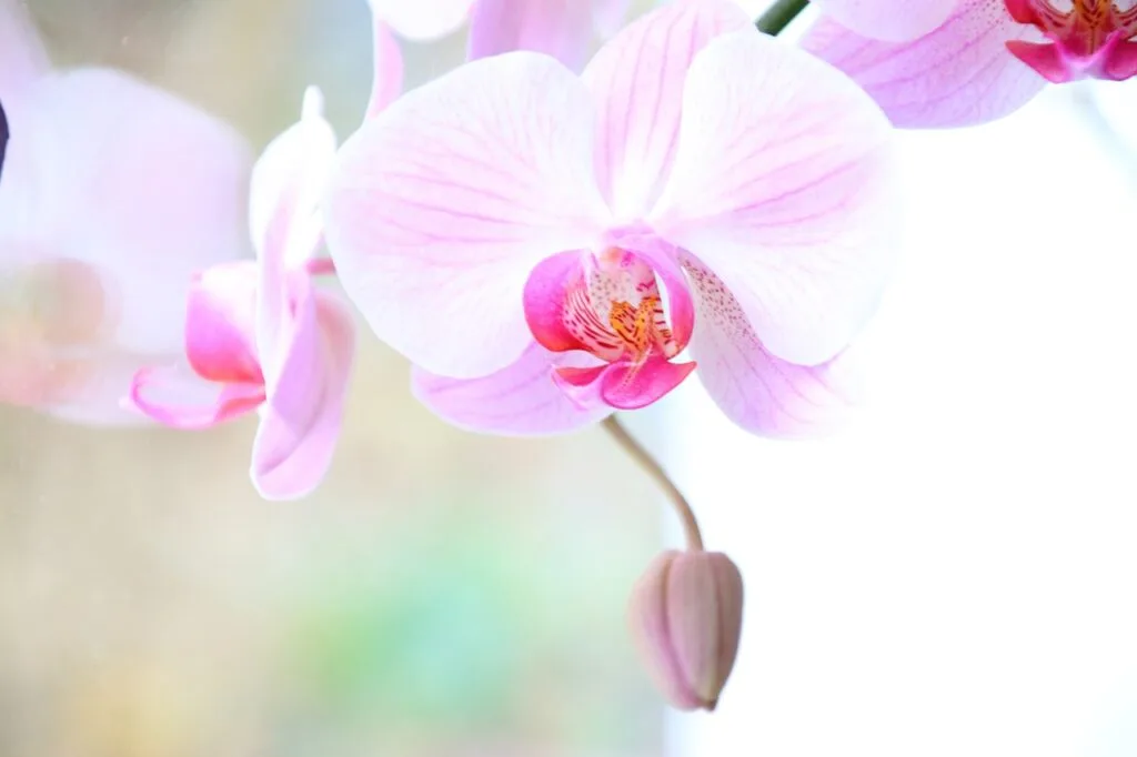 Feeling Good and Happy in a Highly Insensitive Society: 10 Practical Tips Backed by Science