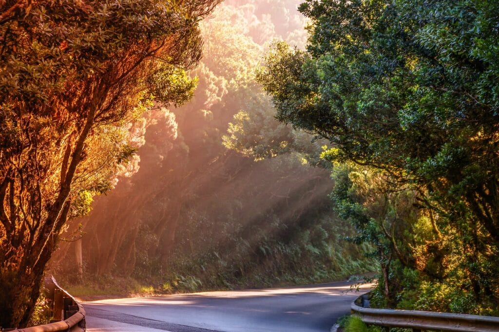 The Age of Neuroplasticity- A New Path to Success in 2025